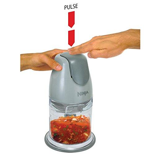 Ninja 400-Watt Blender/Food Processor for Frozen Blending, Chopping and Food Prep with 48-Ounce Pitcher and 16-Ounce Chopper Bowl (QB900B), Silver