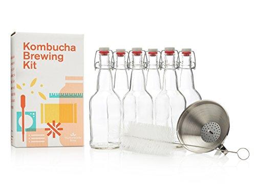 The Kombucha Shop Kombucha Brewing Kit with 1 Gallon Glass Brew Jar, Kombucha SCOBY and Starter Pouch, Temperature Gauge, pH Strips, Loose Leaf Tea and More