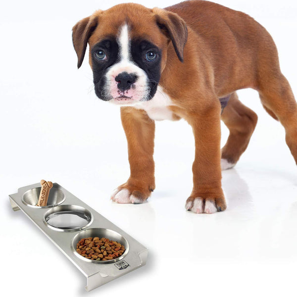 Yukon Glory Serving Tray with Removable Ramekins, Multi Purpose, Durable Stainless Steel, Heat Resistant, For Condiments, BBQ, Candy, Nuts and Pets