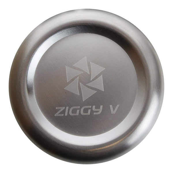 Ziggy V Stainless Steel Cups, 16oz Tumbler Pint Glasses,18/8 Metal Cups BPA Free Cups Set of Four (4)