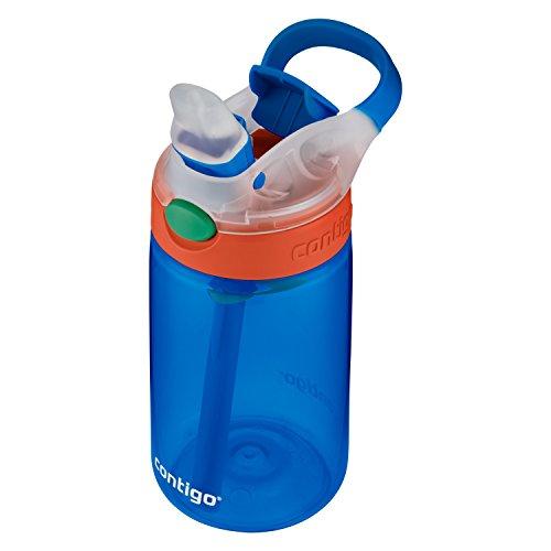 Contigo AUTOSPOUT Straw Gizmo Flip Kids Water Bottle, 14 oz, Sprinkles with Owl Parliament (2004943)