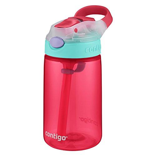 Contigo AUTOSPOUT Straw Gizmo Flip Kids Water Bottle, 14 oz, Sprinkles with Owl Parliament (2004943)