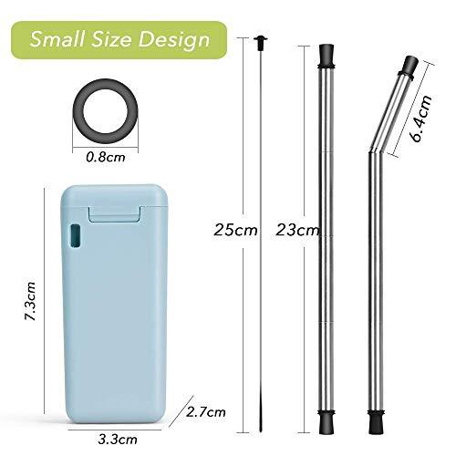 Hydreamus Collapsible Reusable Stainless Steel Folding Drinking Straws Keychain Foldable Final Premium Food-Grade Portable Set with Hard Case Holder C, Small (B)