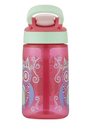 Contigo AUTOSPOUT Straw Gizmo Flip Kids Water Bottle, 14 oz, Sprinkles with Owl Parliament (2004943)