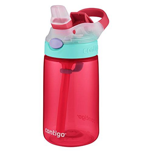 Contigo AUTOSPOUT Straw Gizmo Flip Kids Water Bottle, 14 oz, Sprinkles with Owl Parliament (2004943)