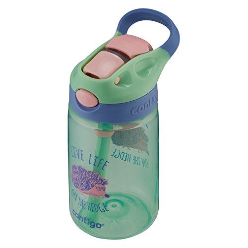 Contigo AUTOSPOUT Straw Gizmo Flip Kids Water Bottle, 14 oz, Sprinkles with Owl Parliament (2004943)