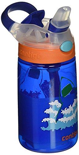 Contigo AUTOSPOUT Straw Gizmo Flip Kids Water Bottle, 14 oz, Sprinkles with Owl Parliament (2004943)