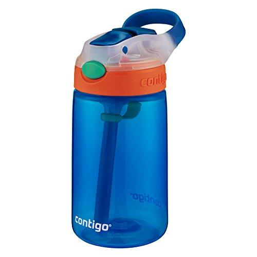 Contigo AUTOSPOUT Straw Gizmo Flip Kids Water Bottle, 14 oz, Sprinkles with Owl Parliament (2004943)