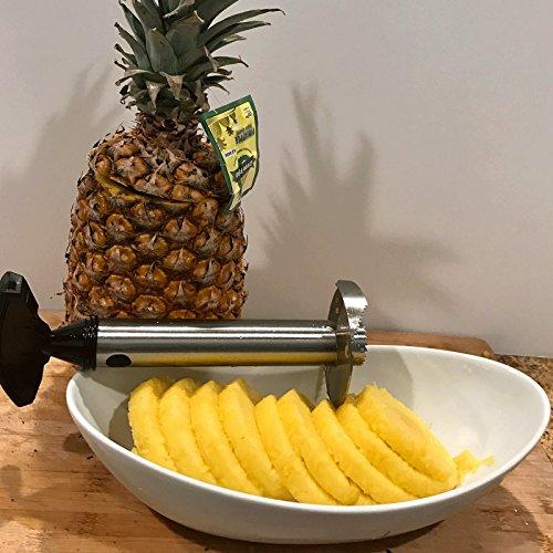 Adorox Stainless Steel Pineapple Fruit Core Slicer Cutter Kitchen Tool Cortador de Piña (Stainless Steel (1 Slicer))