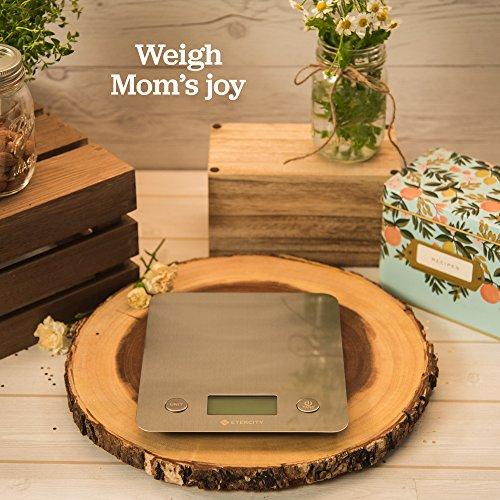 Etekcity Food Digital Kitchen Weight Scale Grams and Ounces, Small, Backlit, Stainless Steel