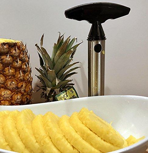 Adorox Stainless Steel Pineapple Fruit Core Slicer Cutter Kitchen Tool Cortador de Piña (Stainless Steel (1 Slicer))