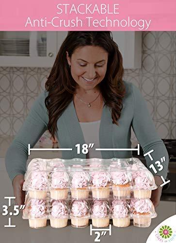 (24 Pack x 6 Sets) STACKnGO Carrier Holds 24 Standard Cupcakes - Strongest Cupcake Boxes, Tall Dome Detachable Lid, Clear Plastic Disposable Containers, Storage Tray, Travel Holder, Regular Muffins