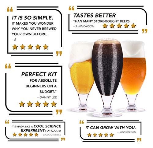 Mr. Beer 2 Gallon Complete Beer Making Kit Perfect for Beginners, Designed for Quick and Efficient Homebrewing, Premium Gold Edition