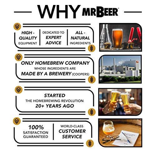 Mr. Beer 2 Gallon Complete Beer Making Kit Perfect for Beginners, Designed for Quick and Efficient Homebrewing, Premium Gold Edition