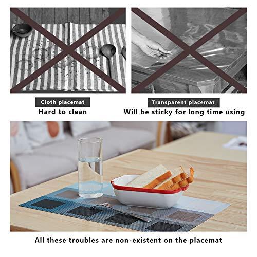 TOP BEAUTY Placemats Set of 6 Woven Vinyl Table Mats PVC Heat Insulation Stain Resistant Non Slip Kitchen Dining Table Decoration