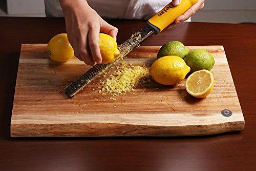 Deiss PRO Citrus Zester & Cheese Grater — Parmesan Cheese Lemon, Ginger, Garlic, Nutmeg, Chocolate, Vegetables, Fruits - Razor-Sharp Stainless Steel Blade Wide Dishwasher Safe