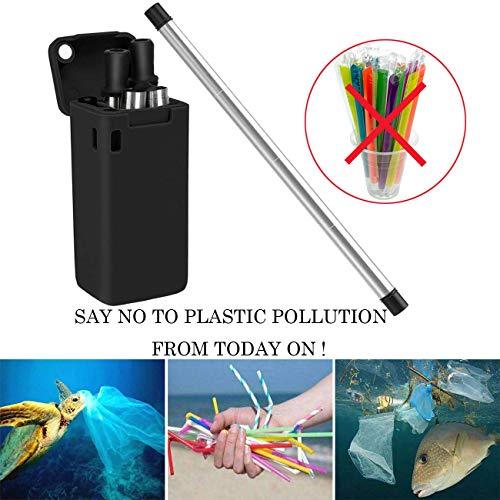 Hydreamus Collapsible Reusable Stainless Steel Folding Drinking Straws Keychain Foldable Final Premium Food-Grade Portable Set with Hard Case Holder C, Small (B)