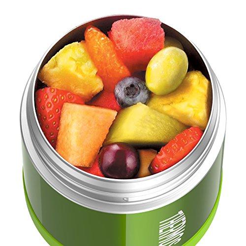 Thermos Funtainer 10 Ounce Food Jar, Blue