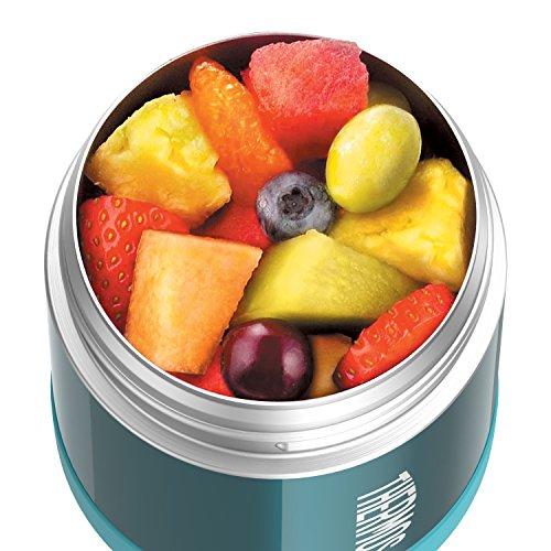 Thermos Funtainer 10 Ounce Food Jar, Blue