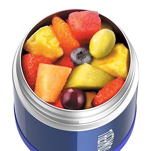 Thermos Funtainer 10 Ounce Food Jar, Blue